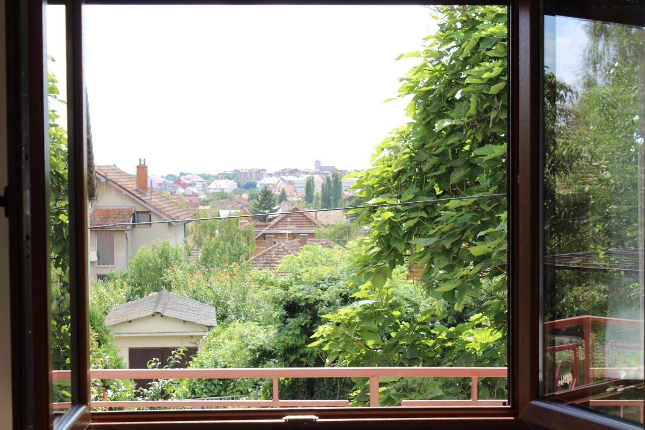 M Apartment Vrsac Exterior photo